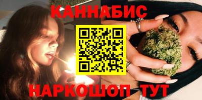 Альфа ПВП Гатчина
